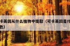 可卡英因从什么植物中提取（可卡英因是什么颜色）