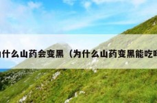 为什么山药会变黑（为什么山药变黑能吃吗）