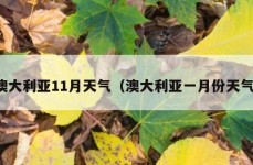 澳大利亚11月天气（澳大利亚一月份天气）