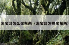 淘宝网怎么买东西（淘宝网怎样买东西）