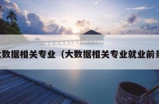 大数据相关专业（大数据相关专业就业前景）