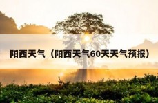 阳西天气（阳西天气60天天气预报）