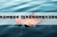 牡丹花种植技术（牡丹花如何种植方法教程图）