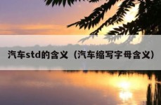 汽车std的含义（汽车缩写字母含义）