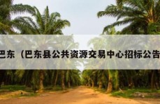 巴东（巴东县公共资源交易中心招标公告）