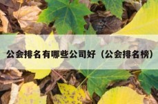 公会排名有哪些公司好（公会排名榜）