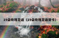 19朵玫瑰花语（19朵玫瑰花语贺卡）