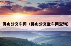 佛山公交车网（佛山公交坐车网查询）