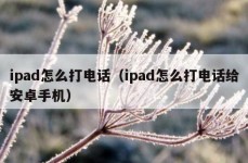 ipad怎么打电话（ipad怎么打电话给安卓手机）