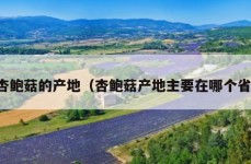 杏鲍菇的产地（杏鲍菇产地主要在哪个省）