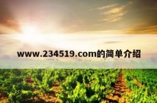 www.234519.com的简单介绍