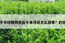 关于月经期同房后不来月经怎么回事？的信息