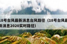 18号台风最新消息台风路径（18号台风最新消息2020实时路径）