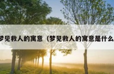 梦见救人的寓意（梦见救人的寓意是什么）