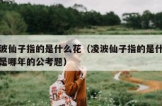 凌波仙子指的是什么花（凌波仙子指的是什么花是哪年的公考题）