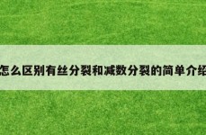 怎么区别有丝分裂和减数分裂的简单介绍