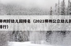 柳州好幼儿园排名（2021柳州公立幼儿园排行）