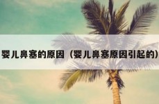 婴儿鼻塞的原因（婴儿鼻塞原因引起的）