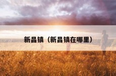 新昌镇（新昌镇在哪里）