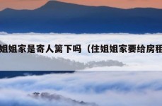 住姐姐家是寄人篱下吗（住姐姐家要给房租吗）