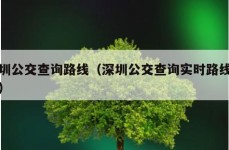 深圳公交查询路线（深圳公交查询实时路线查询）