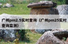 广州pm2.5实时查询（广州pm25实时查询监测）