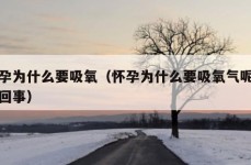 怀孕为什么要吸氧（怀孕为什么要吸氧气呢怎么回事）