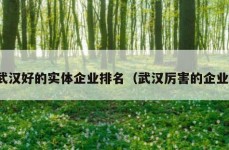 武汉好的实体企业排名（武汉厉害的企业）