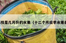 荔枝是几月份的水果（十二个月应季水果表）