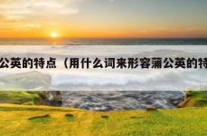 蒲公英的特点（用什么词来形容蒲公英的特点）