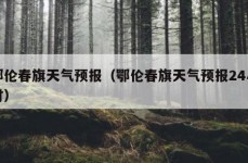 鄂伦春旗天气预报（鄂伦春旗天气预报24小时）