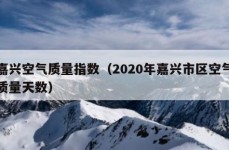 嘉兴空气质量指数（2020年嘉兴市区空气质量天数）