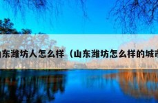 山东潍坊人怎么样（山东潍坊怎么样的城市）