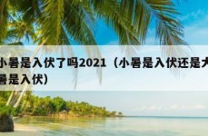 小暑是入伏了吗2021（小暑是入伏还是大暑是入伏）