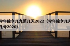 今年除夕几九第几天2022（今年除夕几月几号2020）