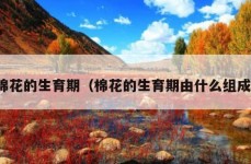 棉花的生育期（棉花的生育期由什么组成）