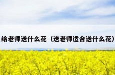 给老师送什么花（送老师适合送什么花）