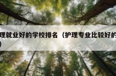 护理就业好的学校排名（护理专业比较好的学校）