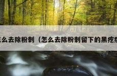 怎么去除粉刺（怎么去除粉刺留下的黑疙瘩）