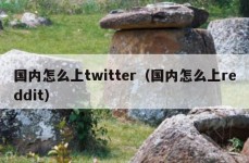 国内怎么上twitter（国内怎么上reddit）