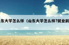 山东大学怎么样（山东大学怎么样?就业前景）