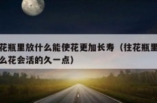 在花瓶里放什么能使花更加长寿（往花瓶里放什么花会活的久一点）