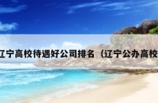 辽宁高校待遇好公司排名（辽宁公办高校）