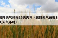 襄阳天气预报15天天气（襄阳天气预报15天天气小时）