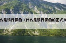 什么是银行保函（什么是银行保函的正式文号）