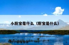 小厨宝是什么（厨宝是什么）