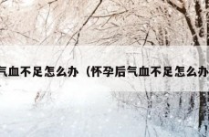 气血不足怎么办（怀孕后气血不足怎么办）