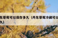 丹东草莓可以保存多久（丹东草莓冷藏可以放多久）