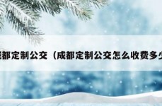 成都定制公交（成都定制公交怎么收费多少）