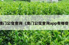 澳门公交查询（澳门公交查询app有哪些）